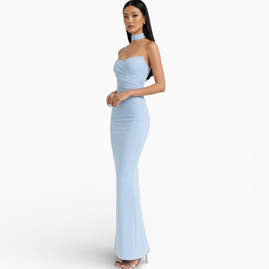 Hemsbury Dresses LINA Strapless Backless Bodycon Dress